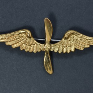 Une Broche d'orée d'aviateur